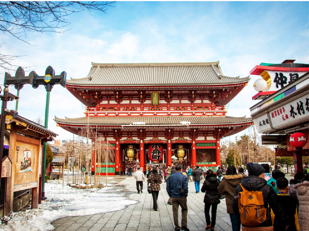 7D4N TOKYO OISHI + DISNEYLAND : 15 MAR 2026 By BI Tour Japan